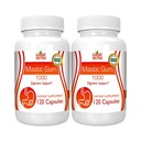 Mastic Gum Capsules - Natural Gastrointestinal Support Suplemento, 1000mg Por Serving - 120 Capsules (2 Botellas)