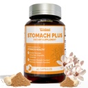 Stomach Plus-for Stomach, Gastritis, Stomach Reparación de Lining, Reflujo ácido, acidez, indigestión, con Galangal, Dong Quai, Cinnamon &amp; Magnolia-45 Capsules