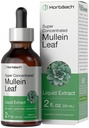 Horbäach Mullein Leaf Extract Drops TENIDO 2 fl oz TENIDO Alcohol Free Liquid Tincture ANTE Vegetarian, Non-GMO &amp; Gluten Free Herbal Supplement