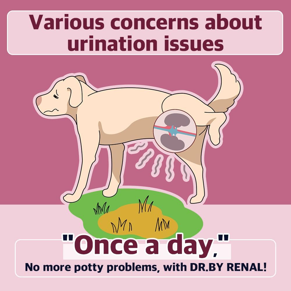 Dr.by Renal Kidney Bladder Urethra Suplemento nutricional para perros y cachorro - Sweet Potato Flavored Dog Suplemento para perros UTI, 30 Cuenta Individualmente Envasado (Pack of 1)