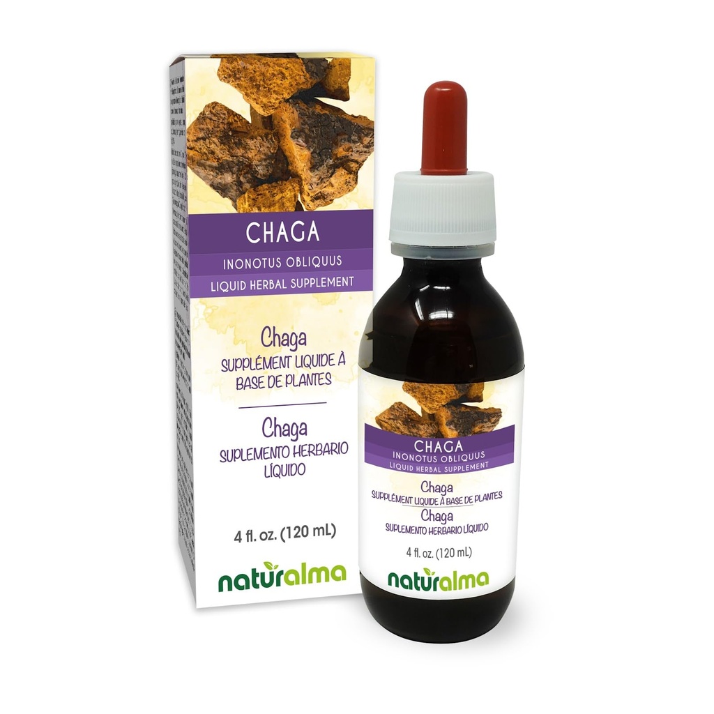 Naturalma Chaga (Inonotus obliquus) Fungus o Mushroom Alcohol-Free Tintura - 4 fl oz Liquid Extract in Drops - Herbal Supplement - Vegan