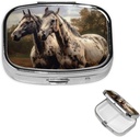 Pill Case Pill Box con Mirror Small Pill Organizer 2 Compartment Dos Caballos de viaje para Purse o Pocket Portable Pill Container Cute Medicine Organizer