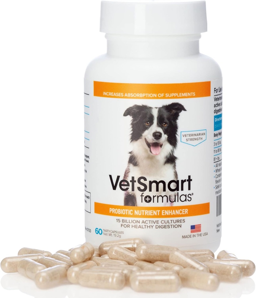 [BRSWYFQHOR6AA2D3] Pet Probiotics for Dogs Supplement - Supports Digestive Enzymes for Nutrient Absorption - 15 Billion Active Probiotic Cultures Attack Inflammation to Prevent Infection