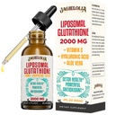 Liposomal Glutathione Liquid 2000MG – Antioxidante Detox Suplemento para Mujeres &amp; Hombres, Defensa del envejecimiento, Función del hígado &amp; Energía, con ácido hialurónico + Aloe Vera + Vitamina C, Natural &amp; Vegan, 2 FL.OZ