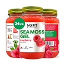 Sea Moss Gel Raw (12 Sabores) 24oz Wildсrafted Gold Sea Moss Gel de Santa Lucía viv 92 Vitaminas y Minerales  Pure Raw+No-GMO Superfood Vegan