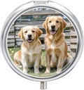 Caja redonda 3 Compartimiento Perros de retrete de oro Perros cachorros Pets Pill Box Mini Medicina Pill Organizer Pillbox de viaje portátil para envase de bolsillo Container de metal para vitaminas Suplementos de aceite de pescado