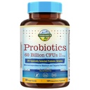 Probióticos terranicos 60 Billones CFU, 20 Strains, 60 Veg Capsules, Prebióticos " Probióticos, Suplemento Probiótico Estable para Hombres " Mujeres, Salud Digestiva " , No GMO, NO Soy, Dairy " Gluten