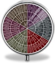 Rueda de Sentimientos y Emociones - Organizador de Píldora Redondeada de 3 Compartimiento - Acero Inoxidable - Ideal para Pequeñas Píldoras y Vitaminas - Perfecto para Viajar &amp; Uso diario