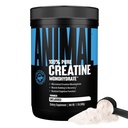Cretino de Monohidratos de Animales - Cretina Micronizada para Mujeres y Hombres, apoya el crecimiento muscular, fuerza, resistencia, recuperación y producción de ATP, suplementos de gimnasia y entrenamiento - Desflavorado, 500g