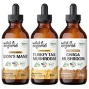 Mane de león orgánico salvaje, Turquía Tail &amp; Chaga Mushroom Tinctures