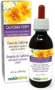Naturalma Eschscholzia (Eschscholzia californica) hierba Alcohol-Free Tintura - 4 fl oz Liquid Extract in Drops - Herbal Supplement - Vegan