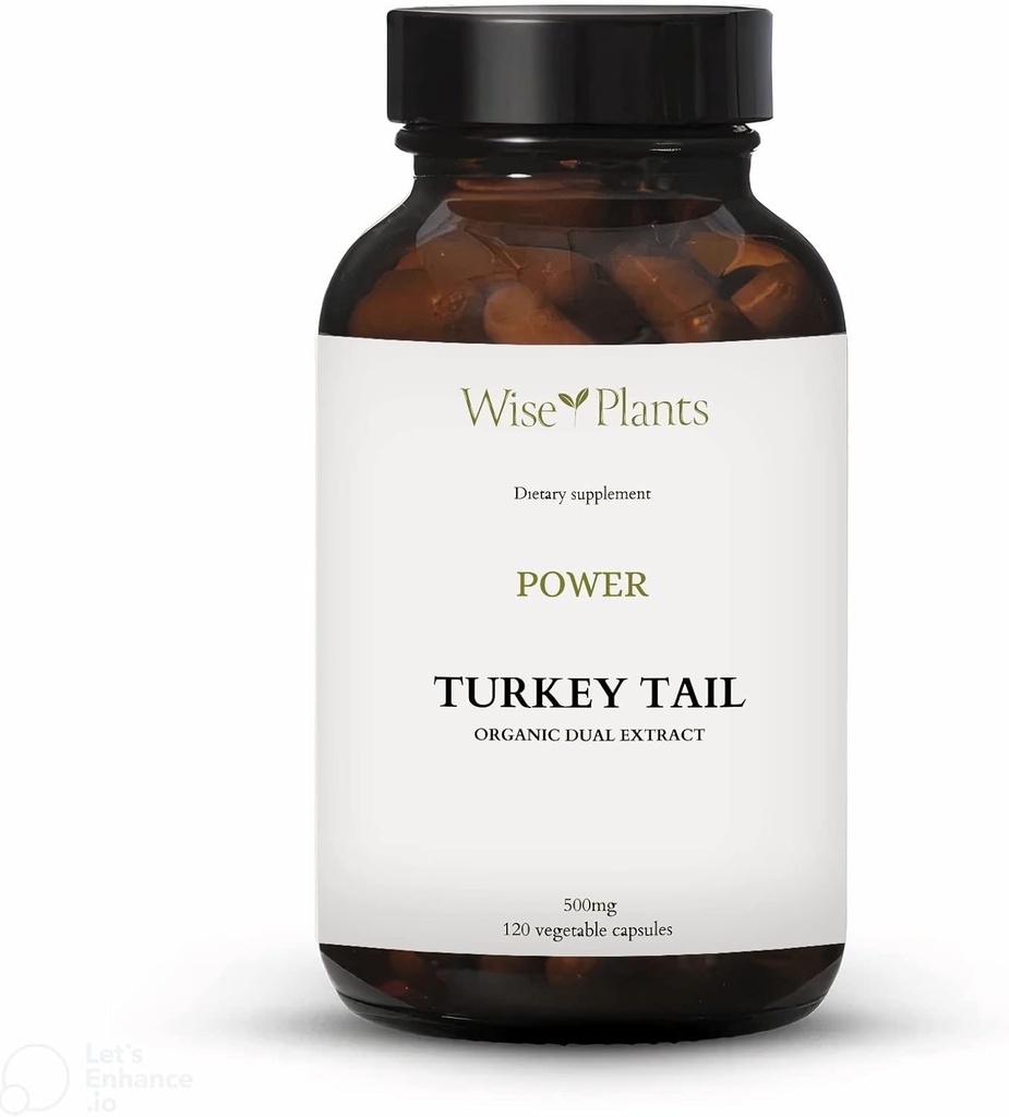 Turquía Tail Mushroom Suplemento. Dual Extract, Pure Fruiting Body, 30% Polysaccharides, 500 mg, 120 vegecaps (60-Day Supply). Puede soportar la función sana de inmuno