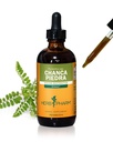 Herb Pharm Chanca Piedra Extracto líquido para el soporte del sistema urinario - 4 onzas