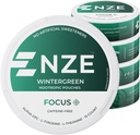 NZE Caffeine Free Nootropic Pouches (Wintergreen) - Nootropic Pouches with Alpha GPC, L-Tyrosine & L-Theanine - No Sugar or Artificial Sweeteners - 15 Pouches Por Can - 5 Pack