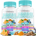 10-en-1 Apoyo inmunitario con Elderberry, D3, Selenium, Quercetin, Zinc, Vitamina C, Ginger, Turmeric Curcumin, B6, Echinacea – Immune Defense – Made in USA (60 Cuenta (Pack of 2))