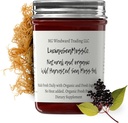 Dr. Sebi Inspired Alkaline Organic Fresh Elderberry Ginger Sea Moss Gel - Natural Essential Vitamins, Minerals Plus Antioxidants Wild Harvested from Saint Lucia (8 oz.)