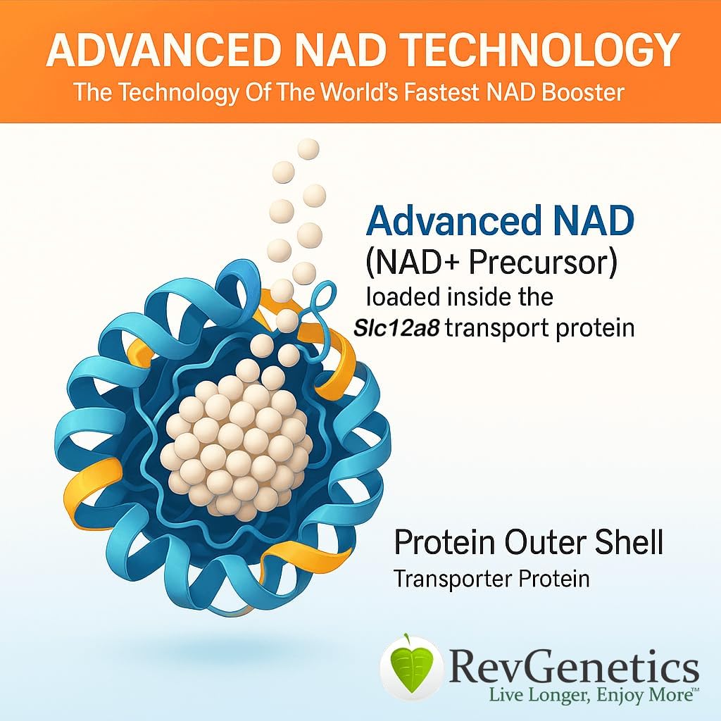 REVGENETICS Advanced NAD+ Supplement, 60 Capsules - Suplemento dietético para el envejecimiento saludable " Longevity
