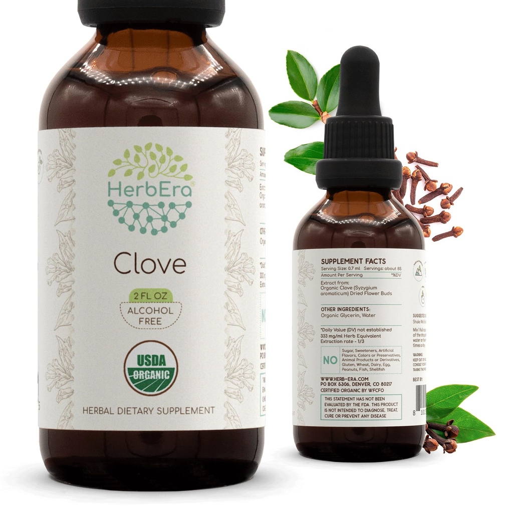 HerbEra Clove B60 USDA Organic Tincture ← Alcohol-Free Extract, High-Potency Herbal Drops, Immune System Health ← Certified Organic Clove (Syzygium Aromaticum) Dried Flower Buds (2 fl oz)