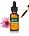 Herb Pharm Orgánica Echinacea Root Extract, Alcohol-Free: Soporte para el sistema inmunitario para todas las estaciones, Suplemento de la planta de Echinacea de acción rápida, No GMO, Vegan &amp; Gluten-Free, 1 Oz