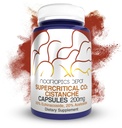 Nootropics Depot Cistanche Supercritical CO2 Extract Capsules tención 20% Echinacoside + 20% Verbascoside (Acetoside) Silencio 60 Conde