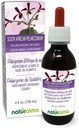 Naturalma South African Pelargonium or Umckaloaba (Pelargonium sidoides) Tinte libre de alcohol - 4 fl oz Extracto líquido en gotas - Suplemento herbal - Vegan