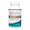 Wellness Resources JointAll - Suplemento de soporte conjunto con ácido hialurónico natural, UC-II Collagen, Glucosamina, Condroitina para fuerza conjunta y confort (120 cápsulas) ...