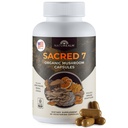 Naturealm Sagrado 7 cápsulas de extracción de setas orgánicas - Premium 7 suplemento de seta con leones Mane, Reishi, Chaga - USDA apoyo ecológico de inmunológico " Focus - 90 cápsulas vegetarianas