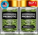 Akkermansia Muciniphila Probióticos 320 Billones CFU soportar GLP-1 Probiótico y Prebiótico Silencio Akkermansia Probióticos para la salud intestinal
