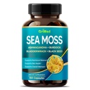 Moss de Mar Premium con Ashwagandha, Burdock Bladderwrack, Semilla Negra para Sistema Inmunitario, Esquí, Digestión " Energía- Hecho en Estados Unidos (150 Conde (Pack of 1))