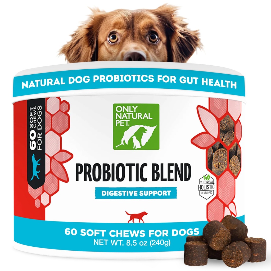 Solo Natural Pet Probiotic Dog and Cat Supplement - Digestive & Gut Health Enzyme Formula, Puppy & Canine Digestive Chews, Best for Stomach Relief & Gas Aid - Soft Chews, 60 Cuenta.