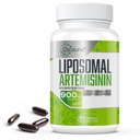 900 mg Artemisinina Liposomal para la absorción máxima, extracto de madera de gusano dulce (Artemisia Annua) con Phytosome de quercetina 200 mg, 60 Softgels - 2 meses de suministro
