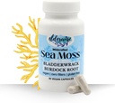 Elderwise Sea Moss Capsules - Moss de Mar con Burdockroot & Bladderwrack - Suplemento Superfood - 60 cápsulas Vegan - 30 días de suministro - Dosificación 2 al día - 1400 mg