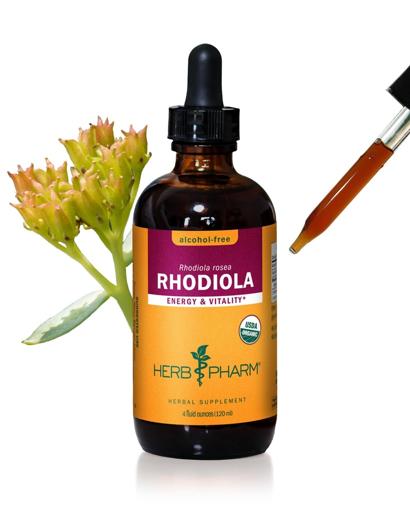 Herb Pharm Certified Orgánica Rhodiola Extract for Energy, Endurance and Stamina, Alcohol-Free Glycerite, 4 Ounce