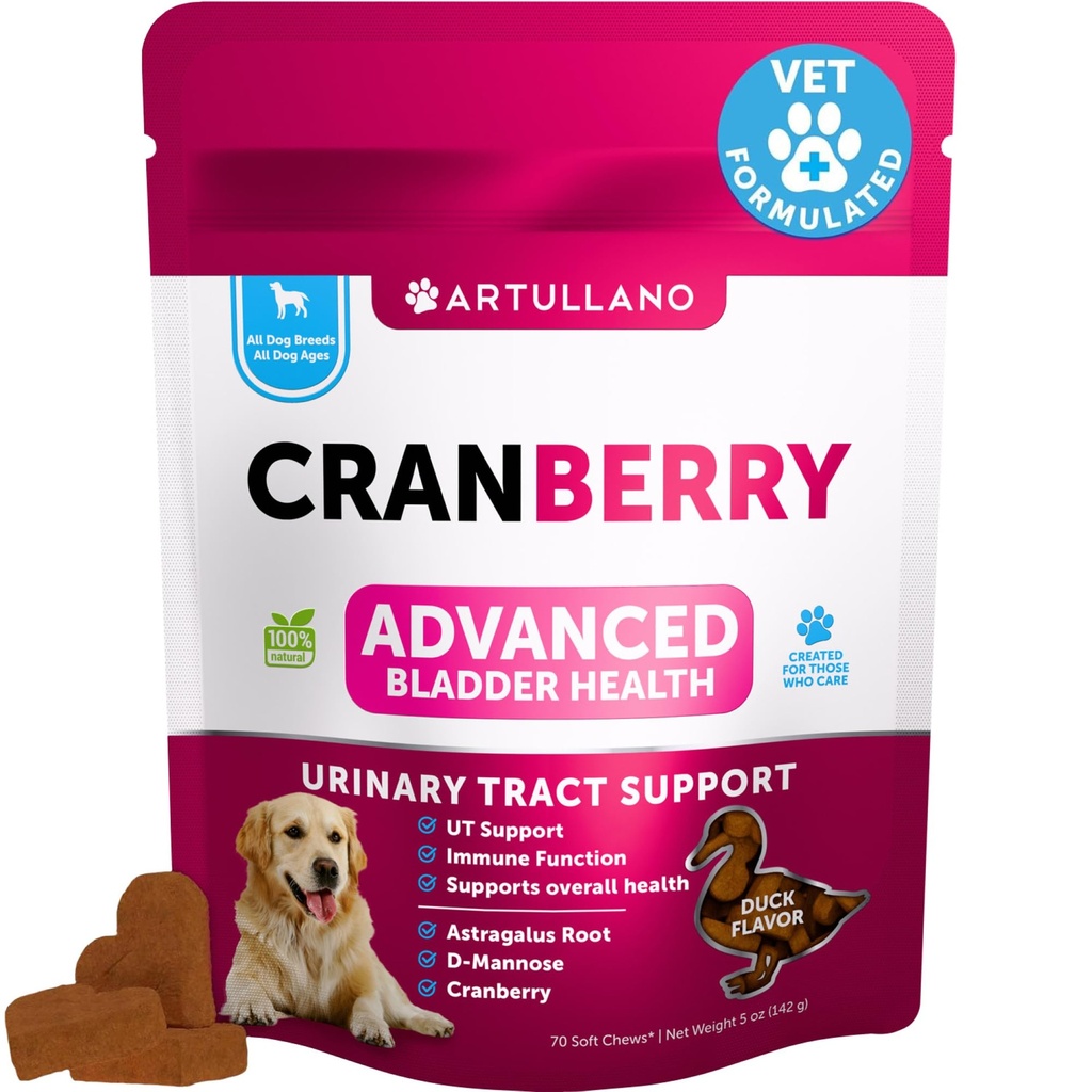 Tratamiento UTI de perro - Suplemento de arándano &amp; Control de vejiga para perros - Urinary Tract Incontinence Pill, Piedras de la vejiga - UTI Tratamiento de la vejiga para perros - 70 Chews suaves para el alimento con aceite de pescado