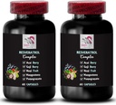 Powerful Antioxidants - RESVERATROL COMPLEX - Nutritional Support, Berry Blend, Active Lifestyle, Daily Antioxidants, Elderberry Strength, Berry Benefits, Pomegranate Boost 2 Bottles 120 Capsules