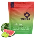 Tailwind Nutrition Endurance Fuel, Carbohydrate &amp; Electrolyte Sports Drink Mix Powder, Gluten-Free, Vegan, Dauwaltermelon, 30 Servings