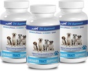 perrito incontinencia hembra - DOG URINARY TRACT SUPPORT - NATURAL CRANBERRY SOLUTION - BLADDER HEALTH - VET RECOMENDADO - polvo de arándanos para perros - 3 Botella (270 Treats)