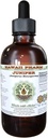 Juniper Sin alcohol Extracto líquido libre de alcohol, Juniper orgánico (Juniperus Monosperma) Dried Berry Glycerite Hawaii Pharm Natural Herbal Suplemento 4 oz