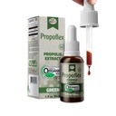 Beelife Propoflex Ecológico Green Propolis Extract - High Artepillin-C Levels, Antioxidant-Rich Supplement for General Wellness - Natural &amp; Kosher-Friendly Suplemento dietético - Hecho en Brasil, 1 Fl. Oz.