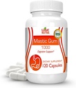 Premium Mastic Gum Capsules - Gastrointestinal Natural Suplemento de soporte, 1000mg por servicio - 120 cápsulas (1 botella)