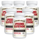 Liposomal Glutathione 2000 mg con L-Serine, L-Glycine & Sulforaphane – Active L-Glutathione Formulación única para mejorar la absorción - Master Antioxidante, detoxificación &amp; Immune tención 360 Softgels