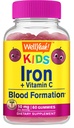 WellSi Iron Gummies for Kids with Vitamin C - Anemia Support, Red Blood Cell Formation, Energy, and Immunity Support Gummy, Iron Supplements for Kids - GMO Free, Natural Grape Flavor - 60 Count