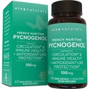 Viva Naturals Pycnogenol - Extracto de pino marítimo francés de 100 mg – apoya la circulación, actividad antioxidante-me gusta, salud y función conjunta – 60 cápsulas vegetales