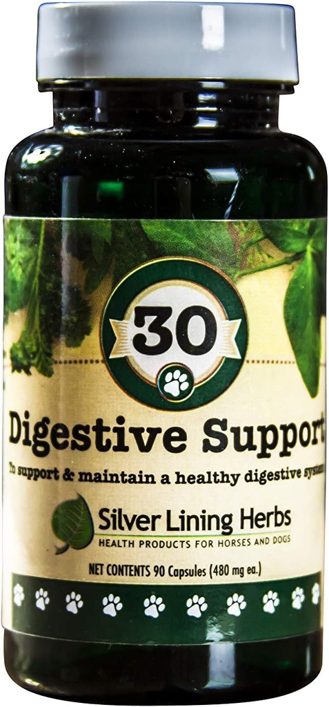 Herbs de forro de plata Apoyo digestivo de perros – Suplementos de perros para la digestión saludable " Función Gut - Vitaminas de perros herbales naturales con la corteza de Elm resbalosa, jengibre " Más – 90 cápsulas