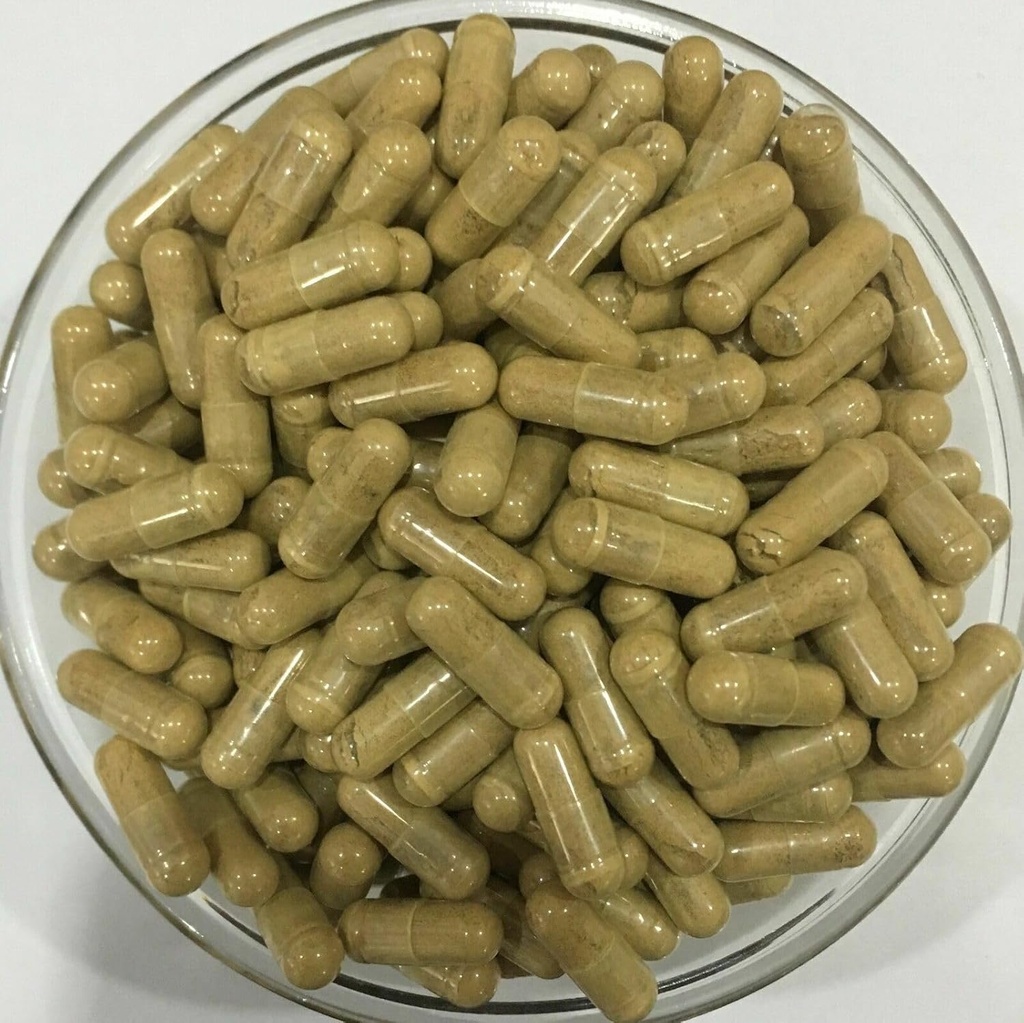 Pure Tiger Milk Mushroom Extracto 50:1 Capsules 500mg*200capsules