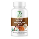 Silencio Reishi Mushroom Capsules Silencio 60 Vegan Adaptogen Capsules for Immune Support & Stress Relief Silencio USDA Certified, Non-GMO, Natural Wellness Supplement