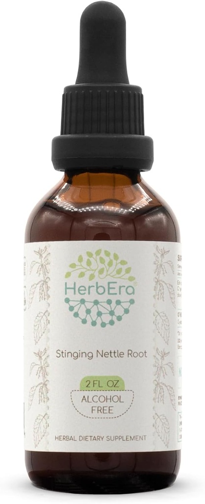 HerbEra Stinging Nettle Root B60 Extracto herbario libre de alcohol Tintura, gotas líquidas concentradas Nettle Natural Stinginginging (Urtica Dioica) 2 fl oz
