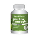 Herbsforever Garcinia Cambogia Extracto Suplemento  Supports Healthy Lifestyle &amp; Weight Management Silencio Natural Herbal Fórmula ANTE 90 Capsules vegetarianos para adultos