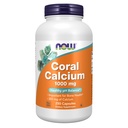 AHORA Suplementos de Alimentos, Calcio de Coral 1000 mg, Salud de Hueso*, Saldo de pH saludable*, 250 cápsulas de Veg