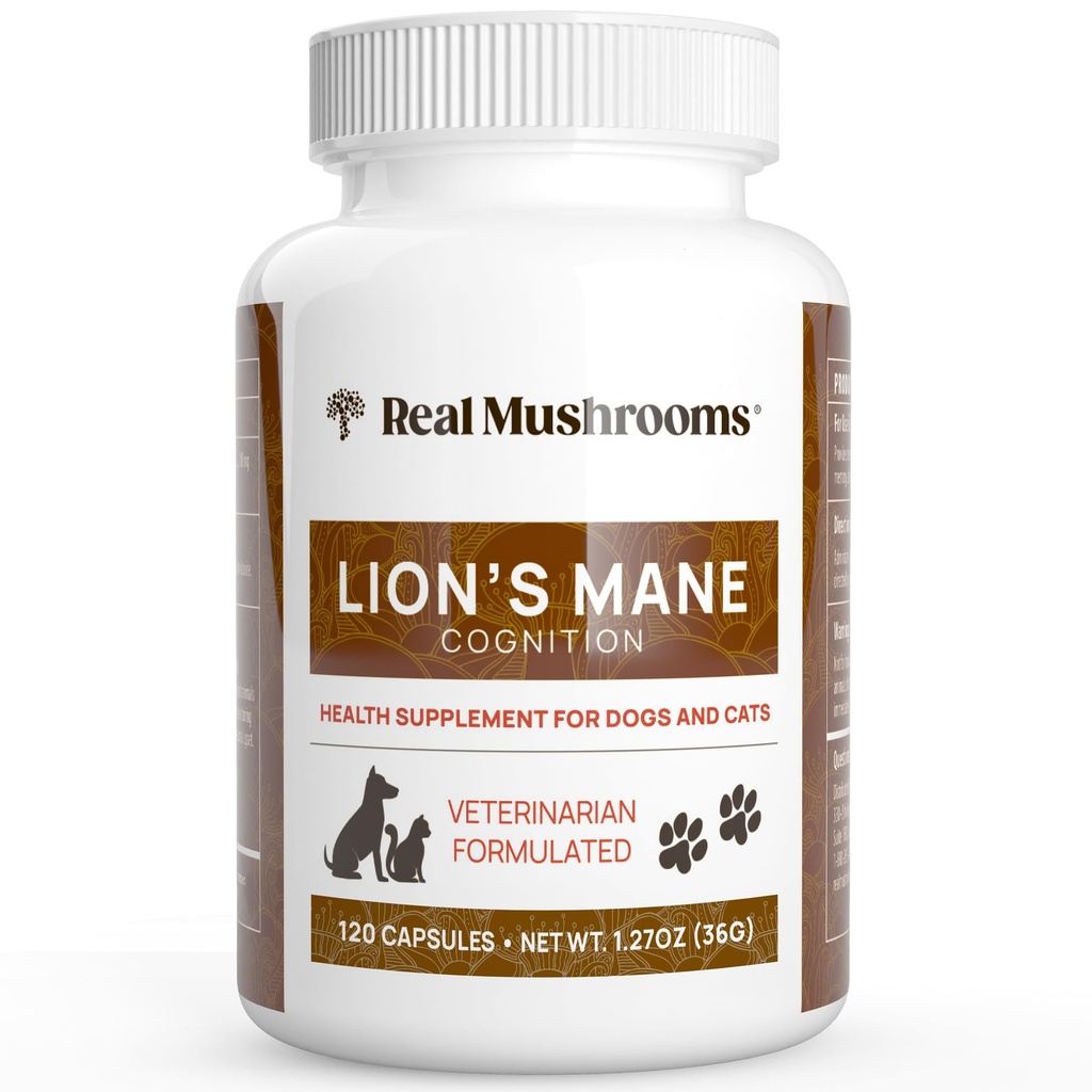 Mushrooms reales El suplemento de hongos de león Mane Pet Mushroom – Capsules de bienestar de mascotas – para Cat &amp; Dog Suplemento &amp; Vitaminas – Apoyo Rutinas mentales – Orgánico, Vegan, No GMO, 120 Cuenta